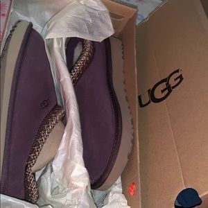 Brand New Tasman UGG Slippers